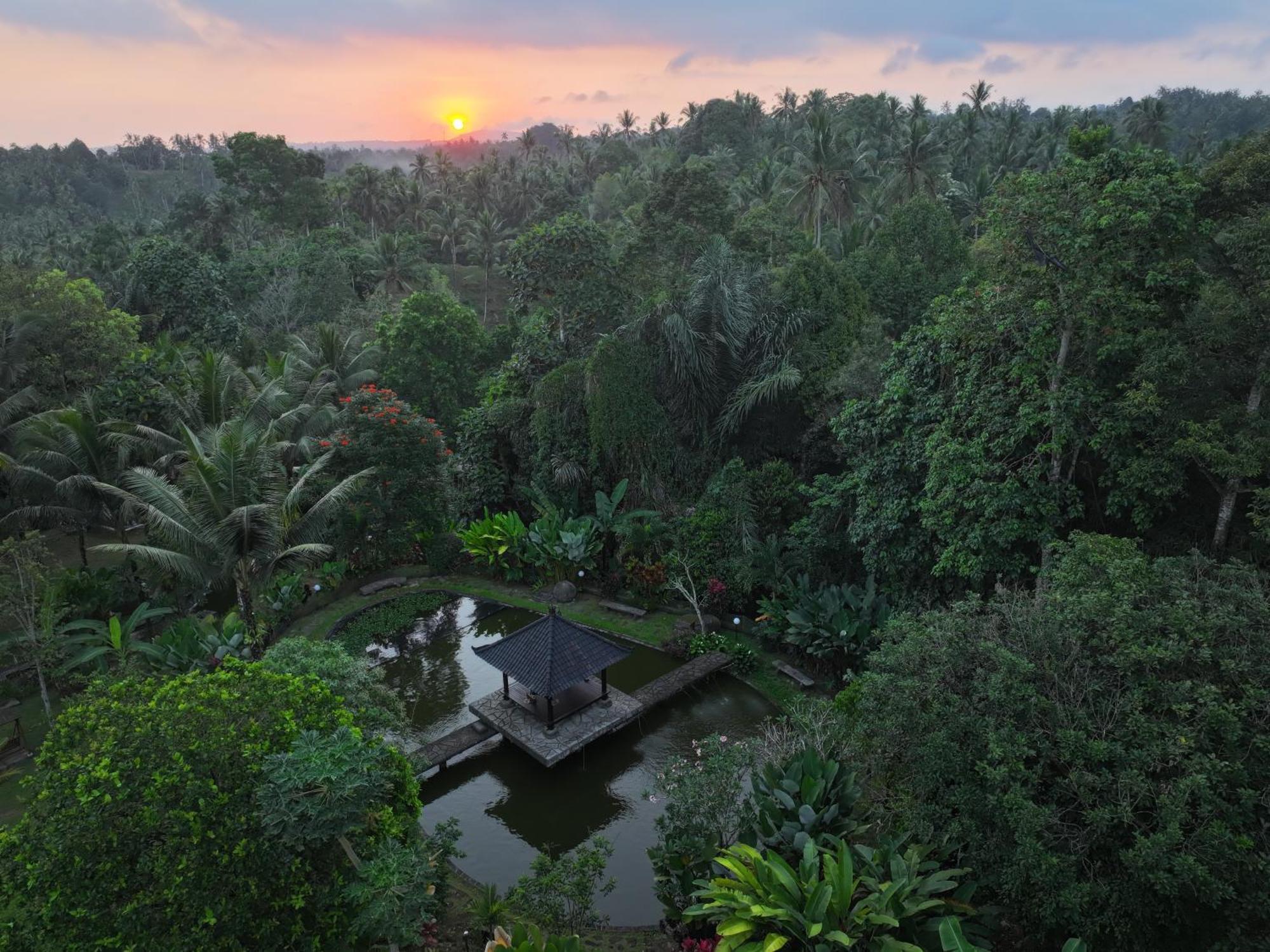Apartmán Bali Palms Selemadeg Exteriér fotografie